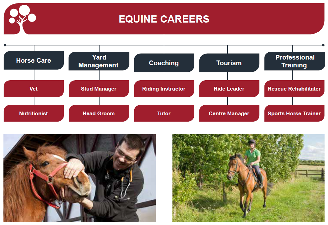 Equine pharmaceutical sales jobs